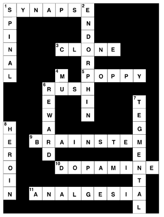 Crossword puzzle with answers