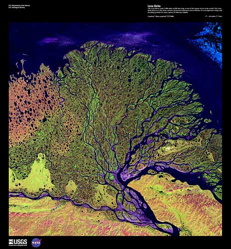Thumbnail image for Earth-As-Art (EAA) satellite scenes Lena Delta 'Satellite scene chosen for aesthetic interest rather than for scientific interpretation'