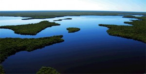 Mangrove islands bespeckle the bay in upper Lostman's River.