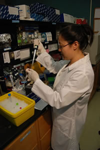 Scientist Working on a Bioenergy Project