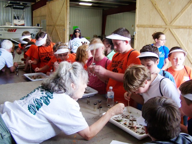 Volunteers teaching kids about conservation