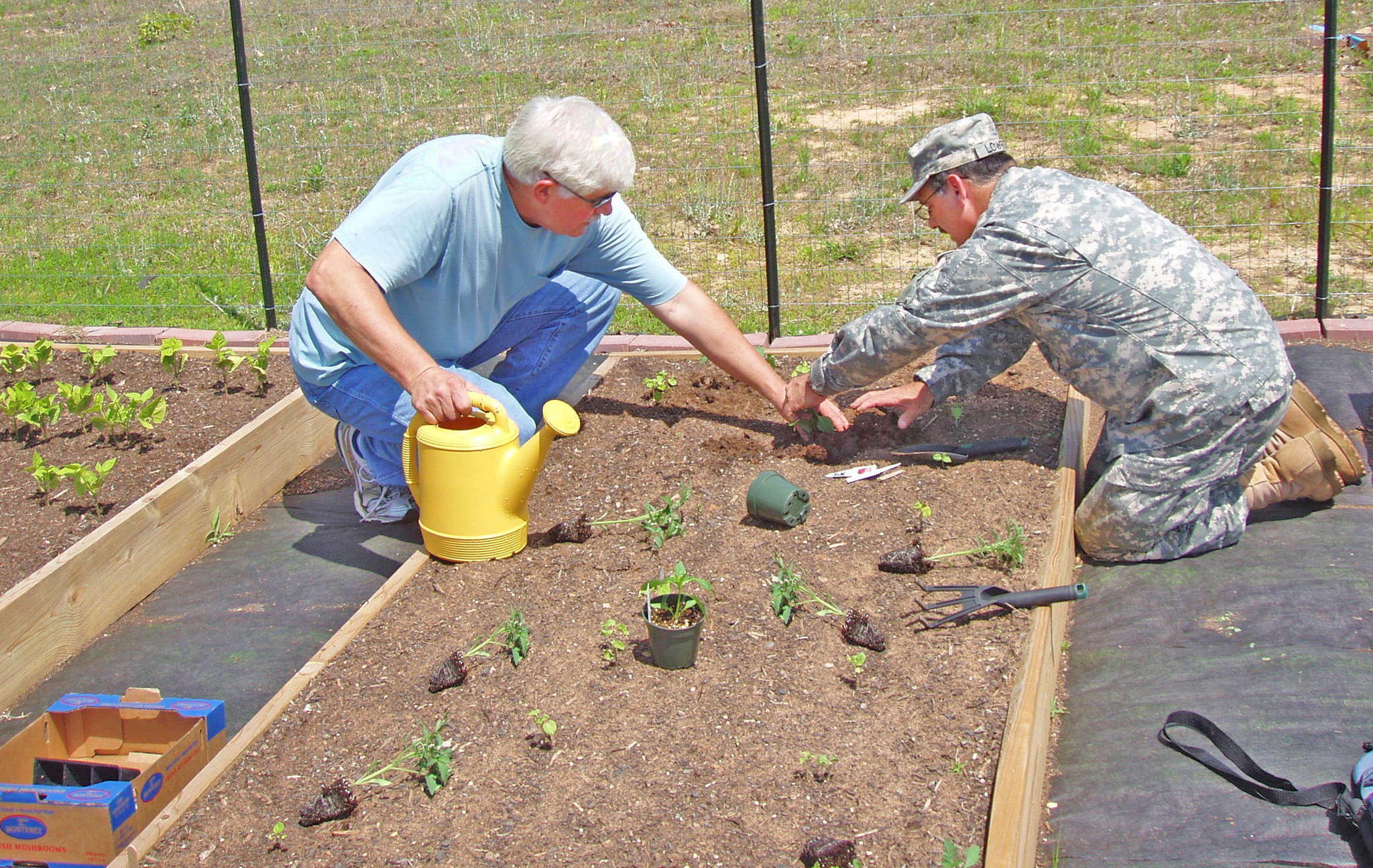 Men working in garden