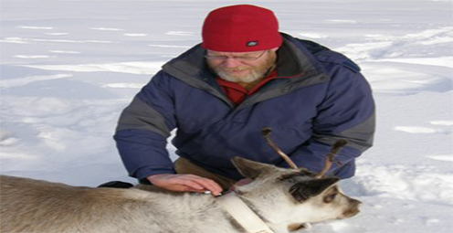 The Other 364 Days of the Year: The Real Lives of Wild Reindeer