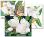 Magnolias Boxed Note Card Set 