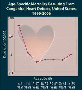 Graph: Age-specific Mortality Resulting from Congenital Heart Defects 1999-2006.