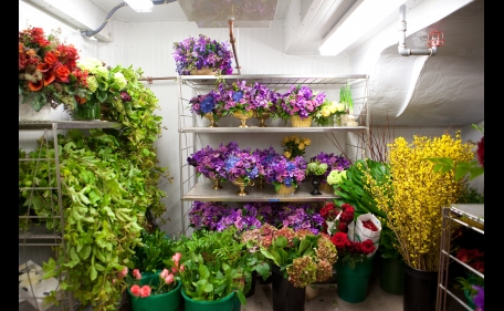 The Flower Shop of the White House, Nov. 23, 2009. (Official White House Photo by Samantha Appleton)