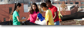 A group of teens organizing recyclables