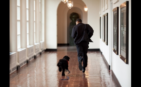President Barack Obama runs down the East Colonnade with family dog, Bo, on the dog's initial visit to the White House, March 15, 2009. Bo came back to live at the White House in April.
(Official White House Photo by Pete Souza)
