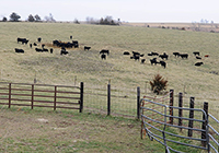Kris Wernimont’s farm consists of grazing lands for cattle and fields of corn and soybeans.