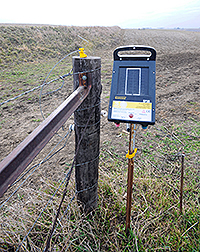 The Wernimonts added a solar-powered electric fence as an energy enhancement through CSP.