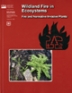 Book Cover Image for Wildland Fire in Ecosystems: Fire and Nonnative Invasive Plants