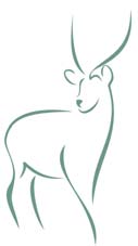 Clip art of an elk.