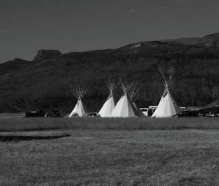 Camping on Chewing Black Bones campground near Glacier National Park.