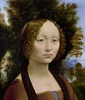 Image: image of Ginevra de' Benci [obverse] 	 Leonardo da Vinci (artist) Italian, 1452 - 1519 Ginevra de' Benci [obverse], c. 1474/1478 oil on panel