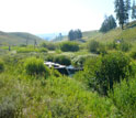Summertime at the team's upstream research site along East Blacktail Deer Creek.