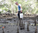 Daphne Fautin searches for new organisms while conducting a marine survey.