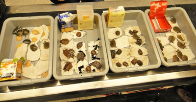 The live turtles and tortoises smuggled into the United States concealed inside snack food boxes