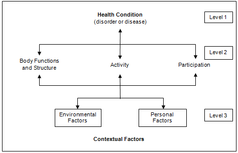 Figure B. Domains of the International Classification of Functioning, Disability and Health (ICF)