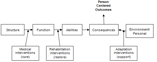 Figure C. Adapted ICF framework