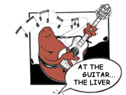 At the guitar...the liver