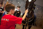 Klinger, a 3d U.S. Infantry Regiment (The Old Guard) Caisson horse, offers hope to...