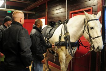 Eugene Burks Jr., senior horse tack specialist, U.S. Army Caisson Platoon, 3d U.S. Infantry Regiment (The Old Guard), makes an equipment adjustment on a Caisson horse, Feb. 20, at the Caisson stables on Joint Base Myer-Henderson Hall, Va. For more than 30 years, Burks has helped Soldiers make any last minute adjustments with the horses' equipment before a day in Arlington National Cemetery, Va. (U.S. Army photo by Sgt. Luisito Brooks)