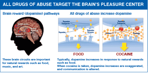 All drugs of abuse target the brain's reward system by flooding the circuit with the chemical dopamine.