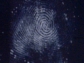 This thumbprint appeared after researchers sprayed it with a super glue.