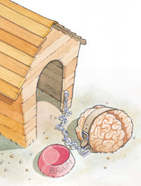 brain in doghouse