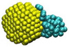 gold carbon nanoparticle interactions