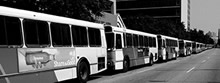 Photo of buses in New Orleans.