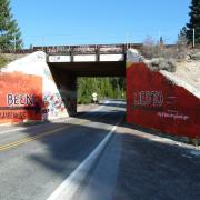 Bridge Painted for National Drug Facts Week