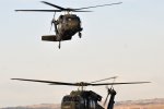 UH-60 Blackhawks land