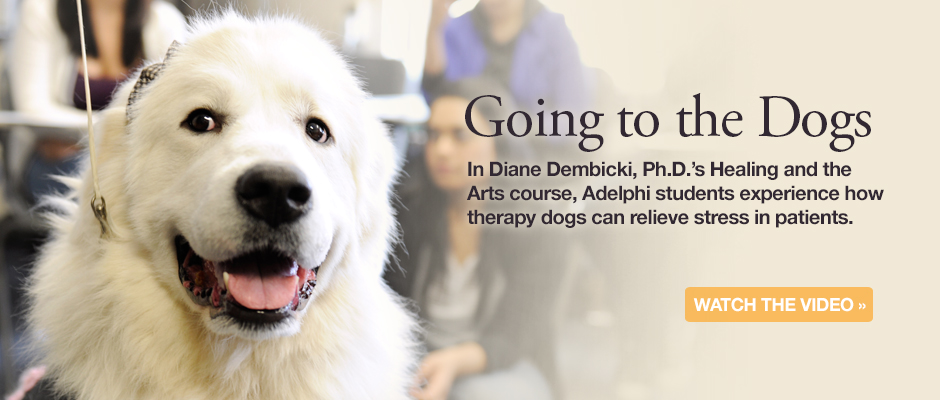 Going to the Dogs - Healing and the Arts Course