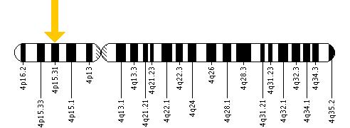 The QDPR gene is located on the short (p) arm of chromosome 4 at position 15.31.