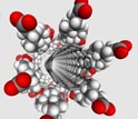 Image showing ball and stick model of sodium cholate suspended carbon nanotube.