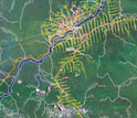 Map illustrating forest fragmentation.
