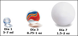 Día 1: 5-7 mL; Día 3: .75-1 oz; Día 7: 1.5-2 oz