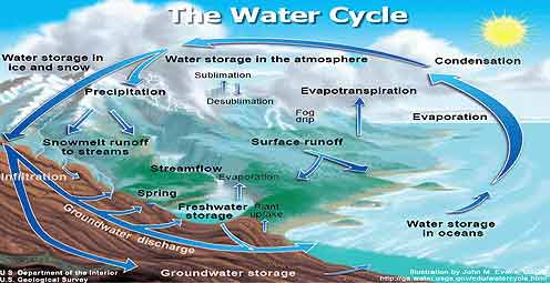 The Water cycle