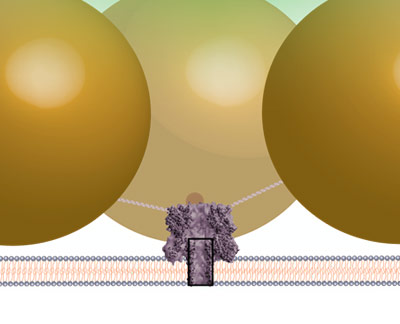 illustration of gold nanoparticles and nanospores