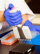 Photo of a researcher pipetting liquid into holes.