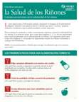 Eating Right for Kidney Health: Tips for People with Chronic Kidney Disease (CKD) (Spanish)
