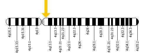 The PDGFRA gene is located on the long (q) arm of chromosome 4 at position 12.