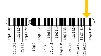 The ACADS gene is located on the long (q) arm of chromosome 12 at position 24.31.