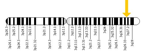 The MCCC1 gene is located on the long (q) arm of chromosome 3 at position 27.