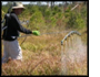 Herbicide and Cultural Control of Invasive Plants