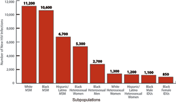 Shown here is a vertical bar chart titled, “Estimates of New HIV Infections in the United States, 2010, for the Most Affected Subpopulations”.

White MSM  = 11,200
Black MSM  =  10,600
Hispanic/Latino MSM = 6,700
Black Heterosexual Women  = 5,300
Black Heterosexual Men = 2,700
White Heterosexual Women = 1,300
Hispanic/Latino Heterosexual Women = 1,200
Black Male IDUs = 1,100
Black Female IDUs = 850
Subpopulations representing 2% or less of the overall US epidemic are not reflected in this chart.>
<p align=