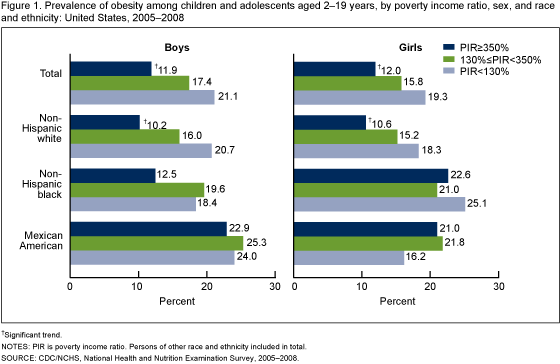 Figure 1 is a bar chart showing the prevalence of obesity among children and adolescents 2-19 years of age by sex, race and ethnicity, and poverty income ratio in the United States for the combined years 2005-2008.