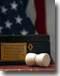 Flag and Gavel Icon