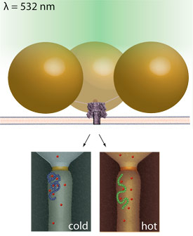 nanopores